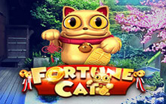 fortune-cat-5845899